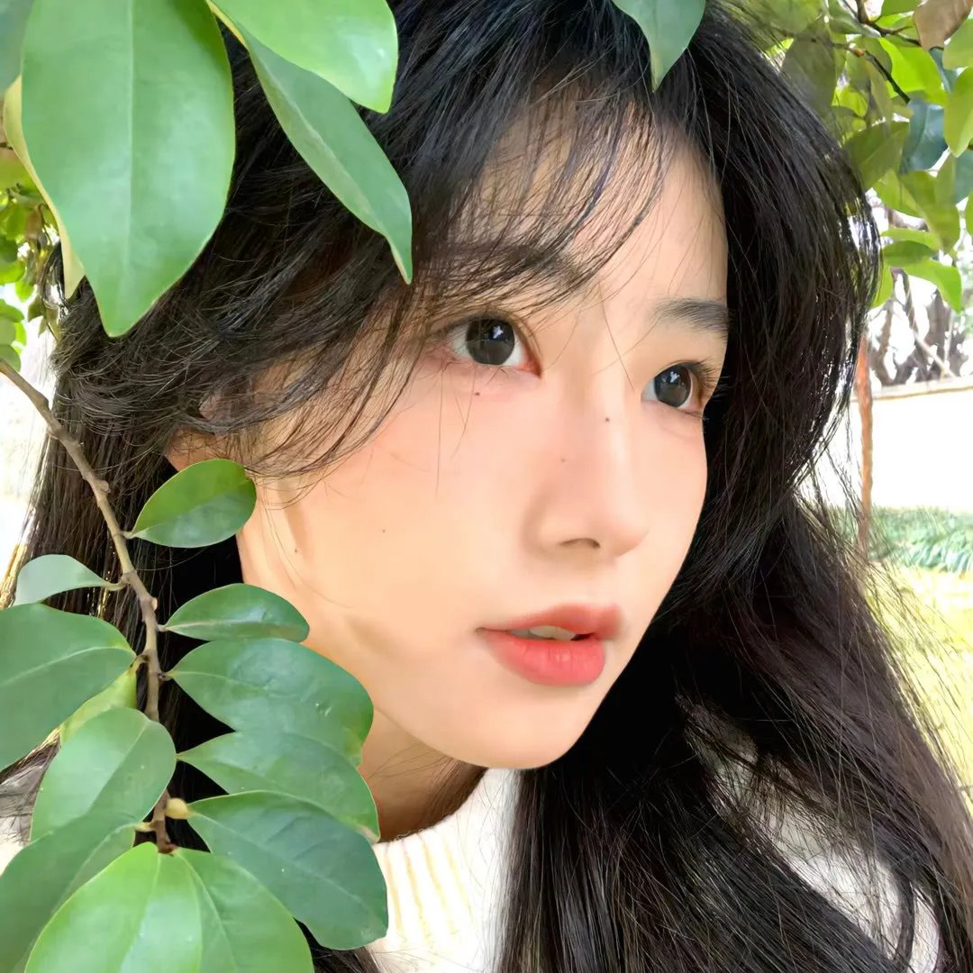 替身风暴